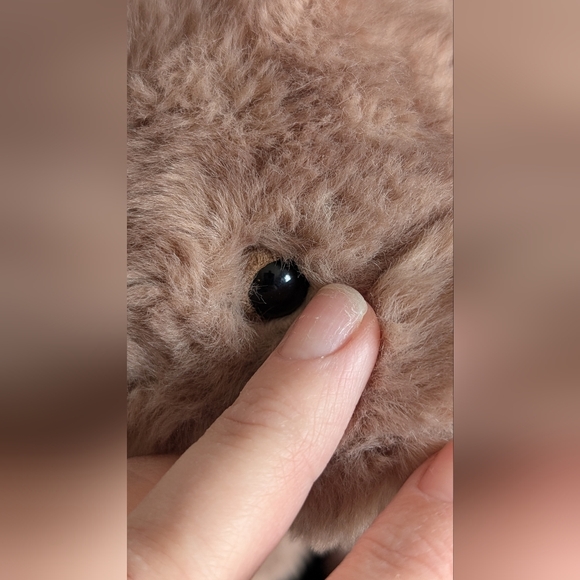 Jellycat | Wonda Wombat Plush Toy - Picture 6 of 15